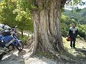 vercors 023